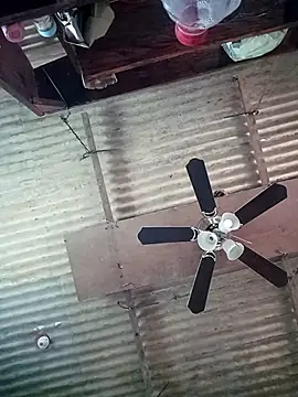 TropicalFlower webcam