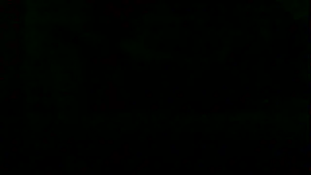 markluvskitty webcam