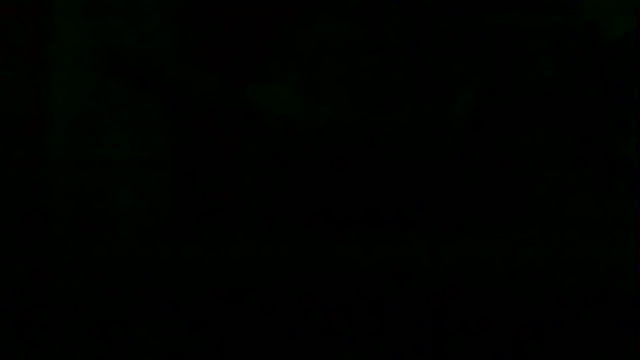 Preview of markluvskitty