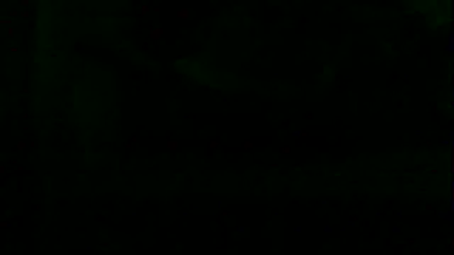 markluvskitty webcam