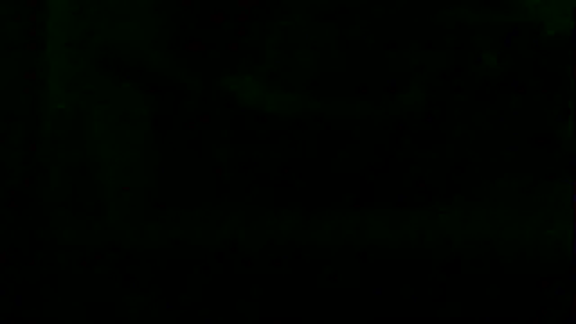 markluvskitty webcam