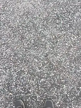 stallone_italiano_62 webcam