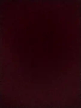 Francescodicristina44 webcam