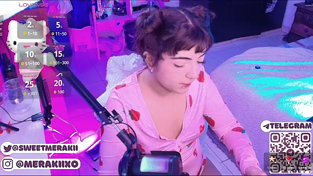 meraki_fraise webcam