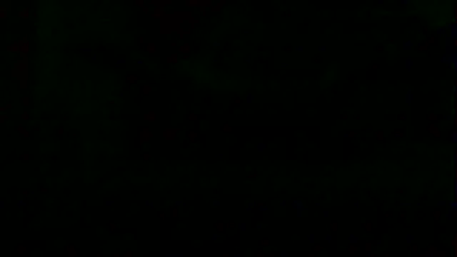 markluvskitty webcam