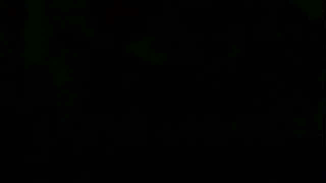 markluvskitty webcam