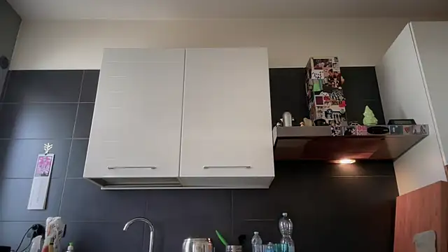 theitalianbear webcam