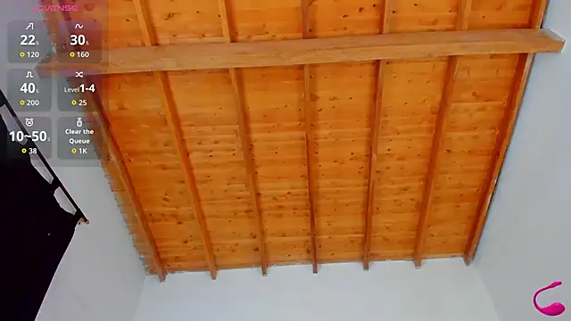 esteveen_ortegas_ webcam