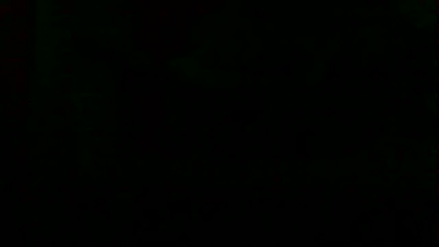 Preview of markluvskitty