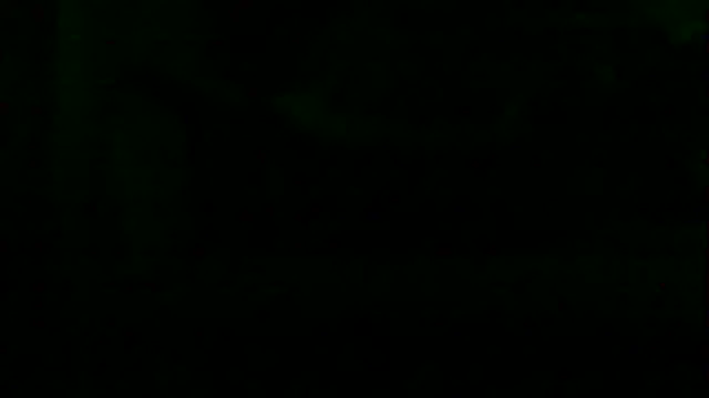 markluvskitty webcam