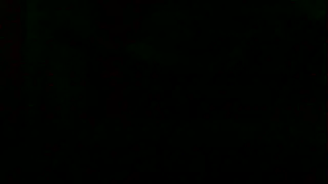 markluvskitty webcam