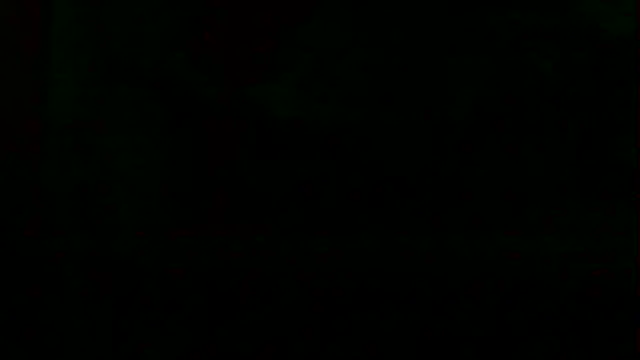 markluvskitty webcam