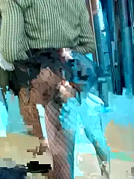 PleasantPassenger9 webcam