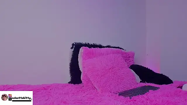 celestte_evans_1 webcam