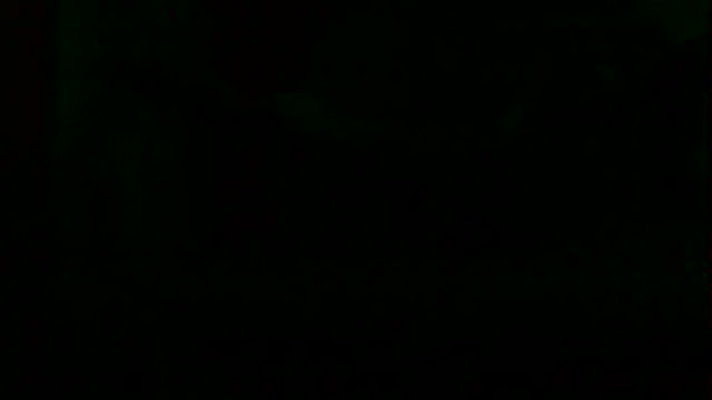 Preview of markluvskitty