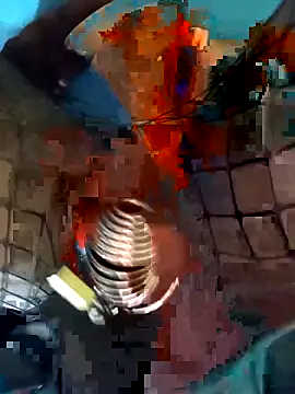 PleasantPassenger9 webcam