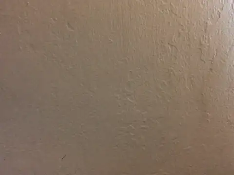 Beauty___Beast webcam