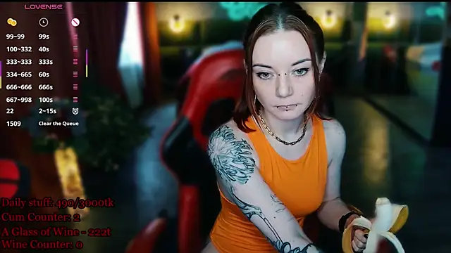 MaxPhoenixx webcam