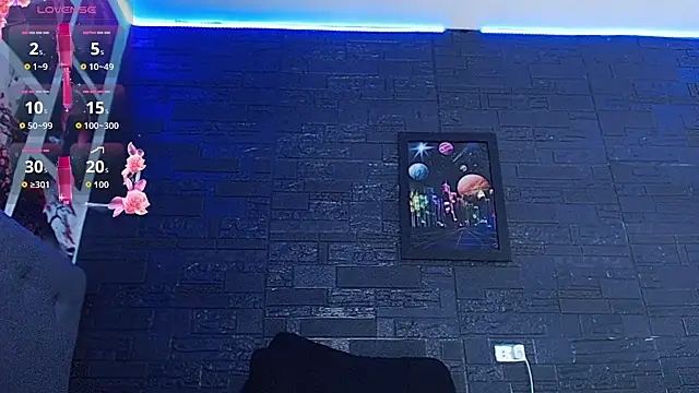 Romancartier_1 webcam