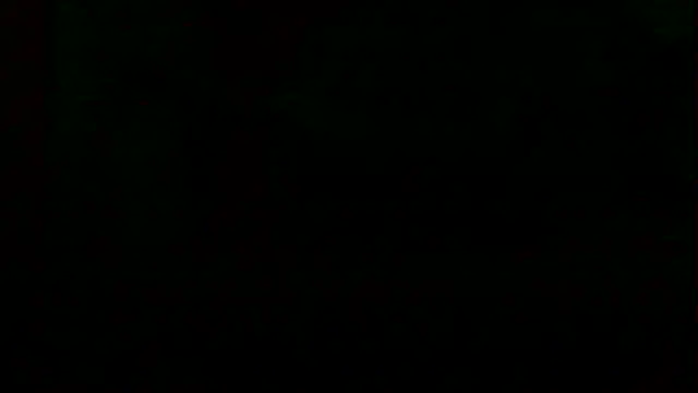 markluvskitty webcam