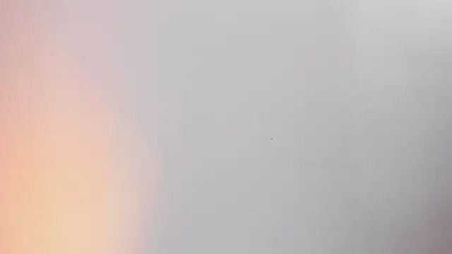 Santa_Cooper_ webcam