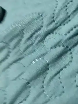 pedritolobito webcam