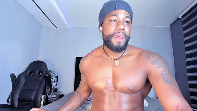 Dancelwashington webcam