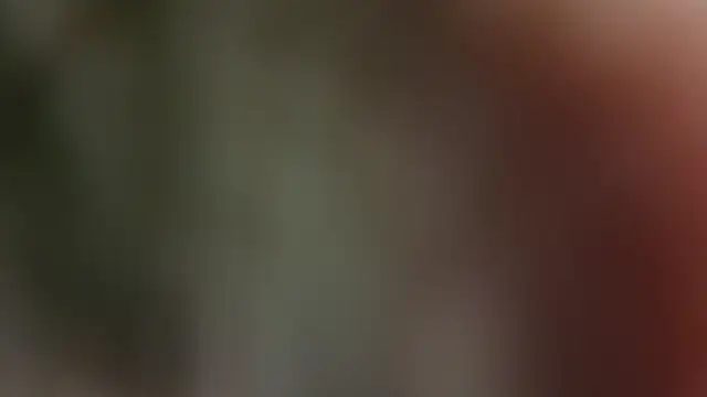 Hard_Swinger_GRM webcam