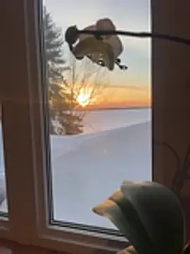 spinghot - Spinghot's free webcam - UK Sex Cams