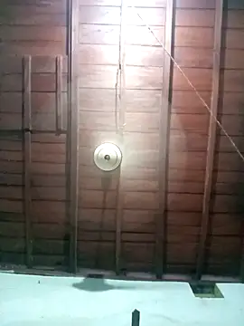 BreezySexyGirl69 webcam