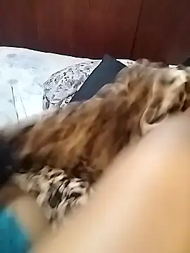 hemilynthomas2467 webcam