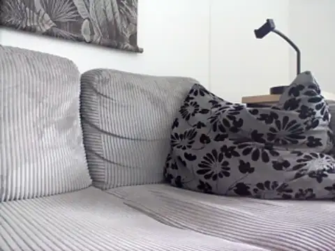 KnownObligation1 webcam