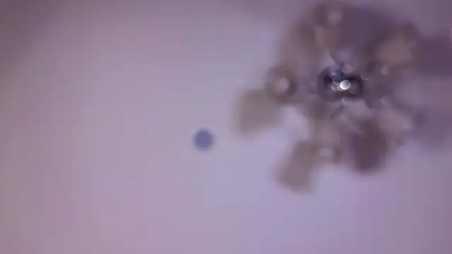 sallycha - SallyCha's free webcam - UK Sex Cams