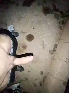 Preview of sexygosht