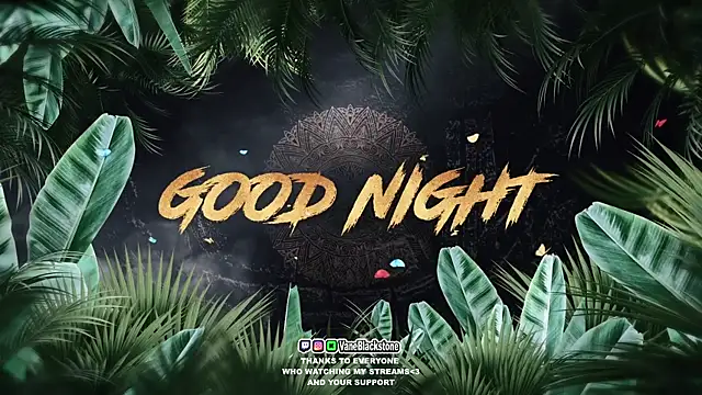 VaneBlackstone webcam