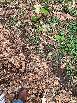 GeilerHSVFAN1989 webcam