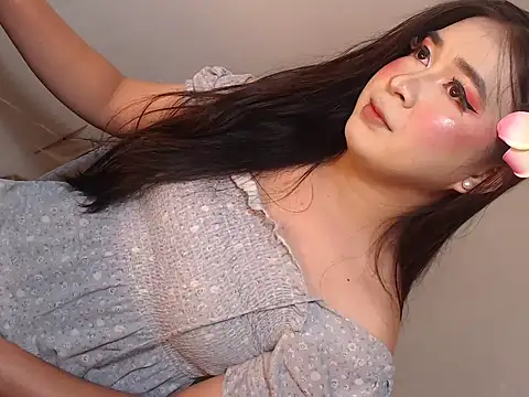 camelastarsairo webcam