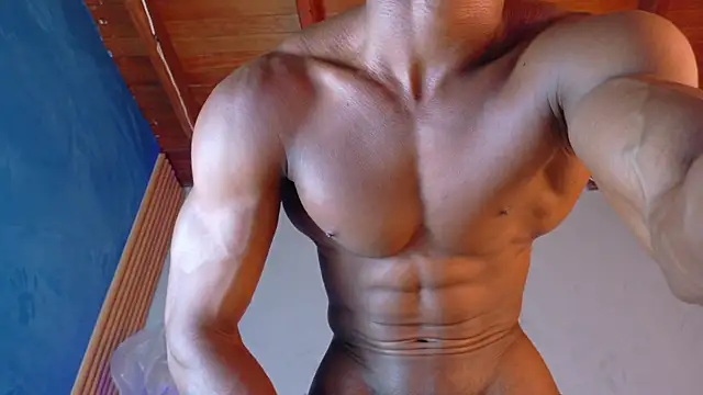 martin_killer webcam