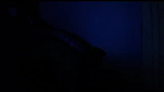 hersheybanks23 webcam