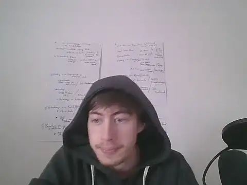 VelvetRagottiOG webcam