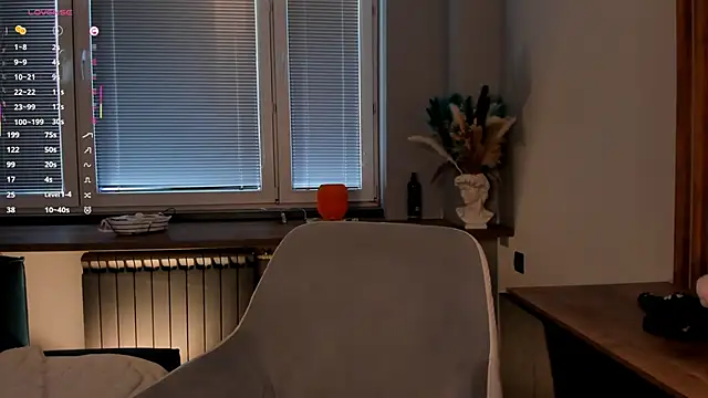 JanuaryElwell webcam