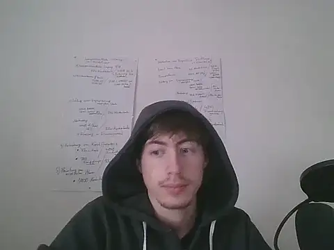 VelvetRagottiOG webcam