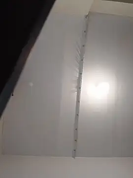 Dilfina live sex cam