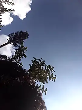 ShyNaughtyBabe webcam