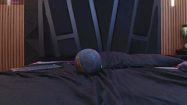 Oliver_Laurent_ webcam