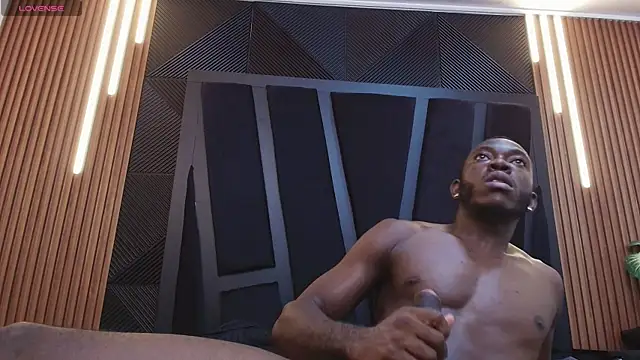 Oliver_Laurent_ webcam