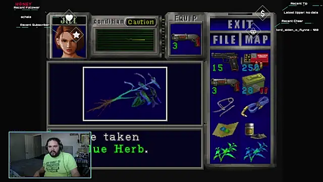 bottombeargaming webcam