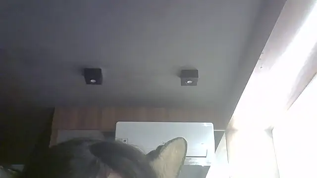 SkinnyKitten webcam