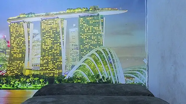 twokingsuncensored26 webcam