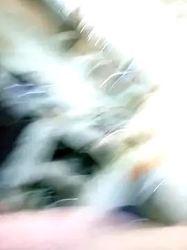 BURBUJA_y_CABALLERO webcam